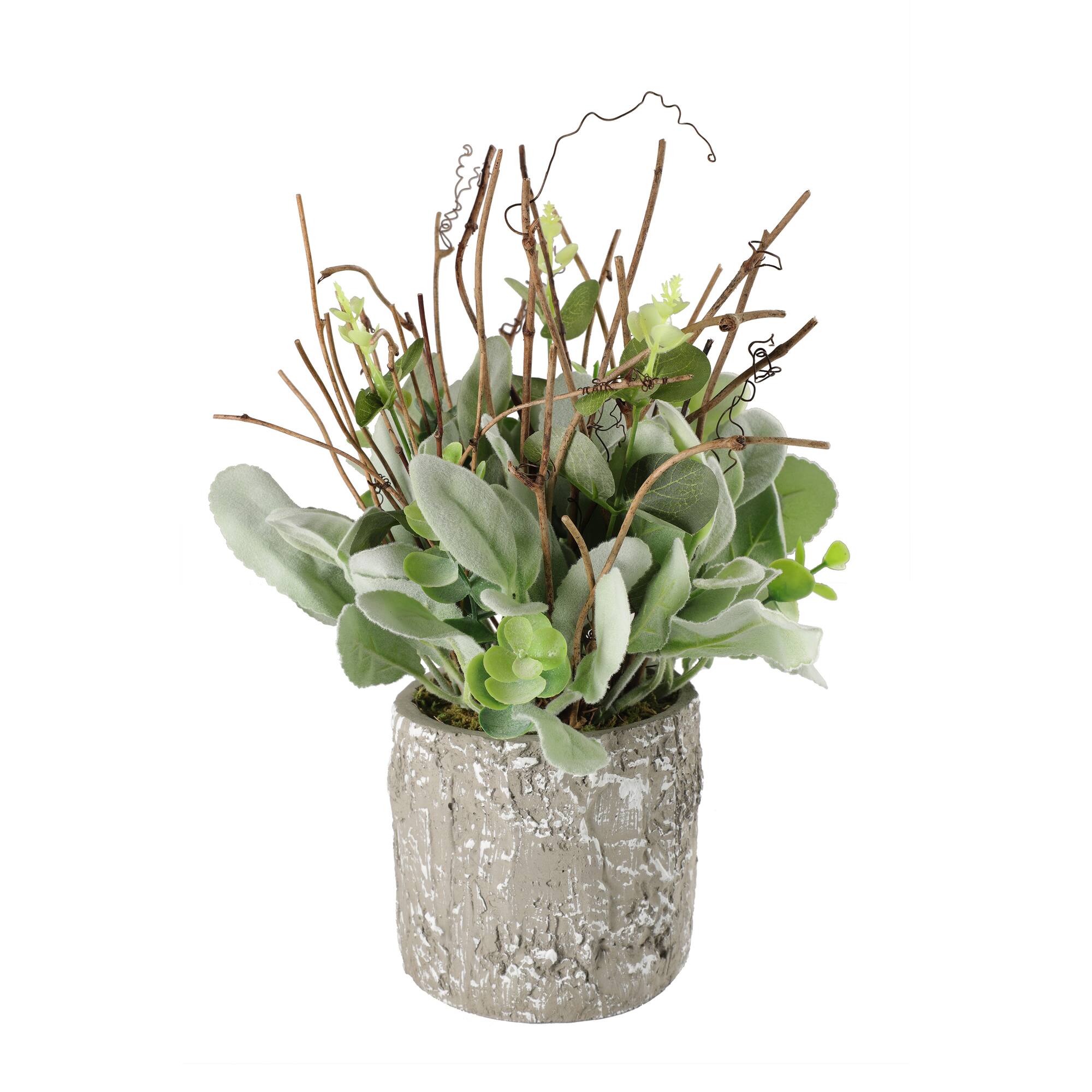 11" Lamb's Ear in Cement Pot